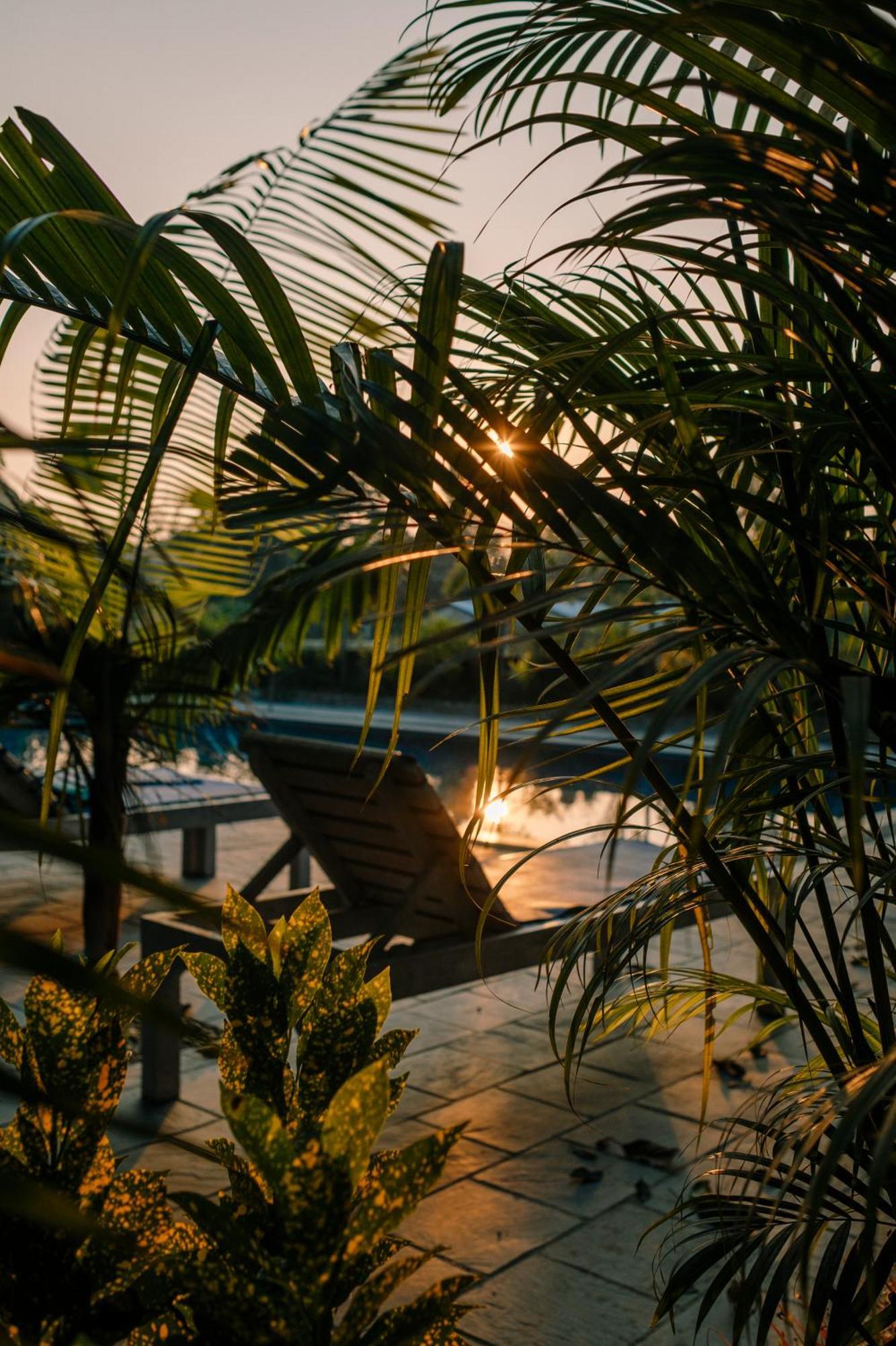 Hotel Parkside & Swimming Pool-Between Greenery And Azure ,Your Perfect Retreat 치트완 외부 사진
